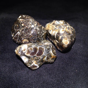 Pierres polies Agate Turitelle