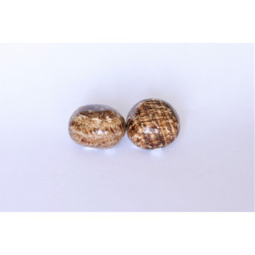 Pierres polies Aragonite